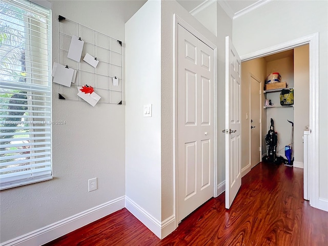 corridor featuring dark wood-type flooring and ornamental molding