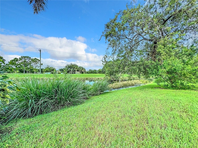 view of yard with a water view