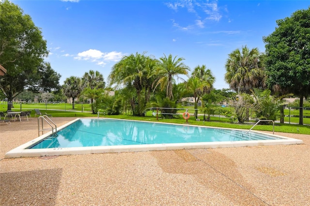 view of swimming pool featuring a patio area and a yard