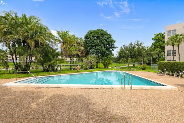 view of swimming pool with a lawn