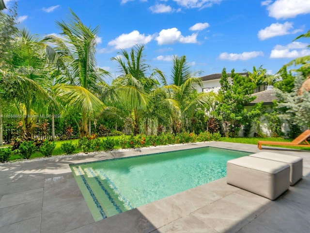 view of pool featuring a patio