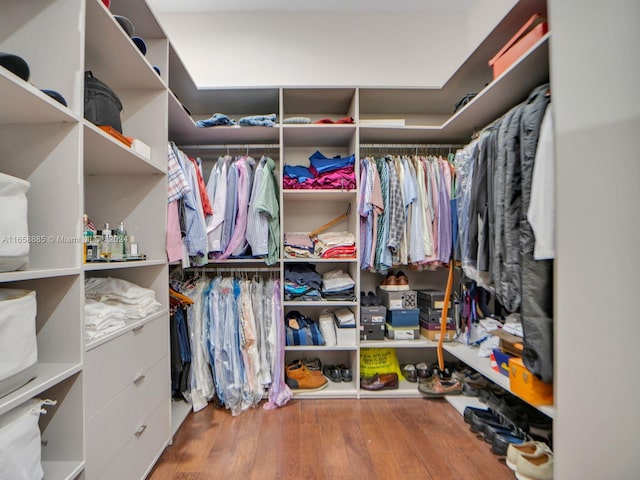 spacious closet with wood-type flooring