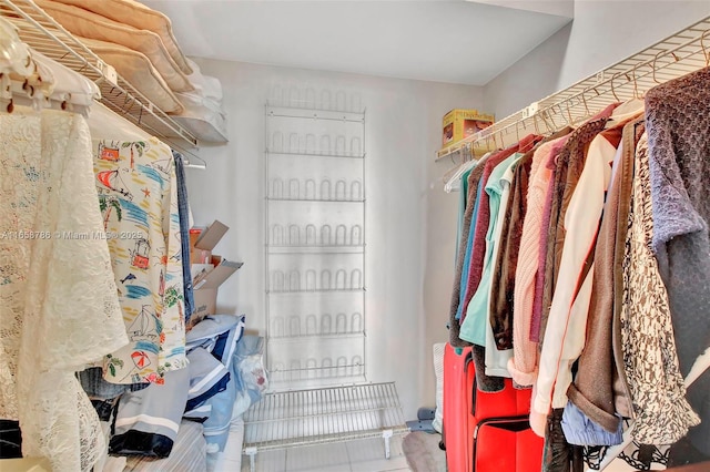 view of spacious closet