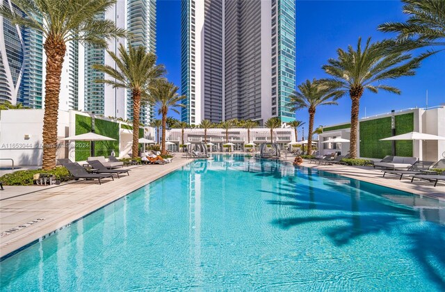 view of pool featuring a patio area