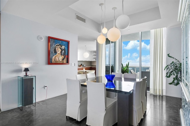 dining room featuring a raised ceiling