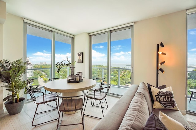 dining area featuring a wall of windows, plenty of natural light, and light hardwood / wood-style floors