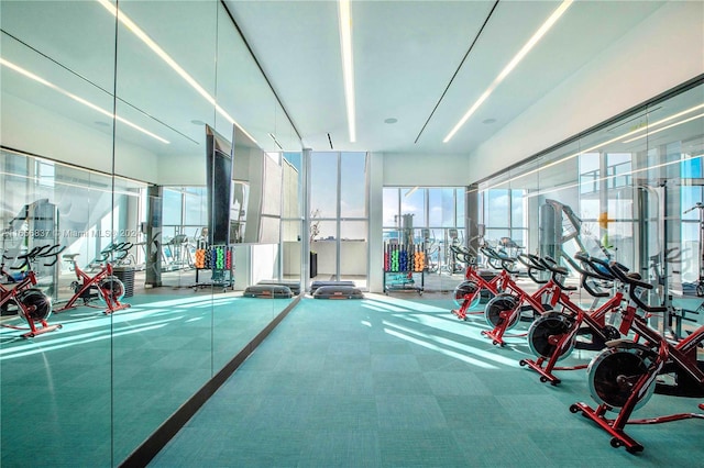 workout area with a wall of windows and carpet flooring