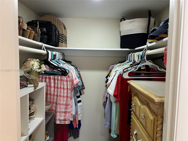 view of spacious closet