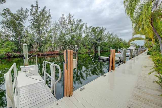 dock area with a water view