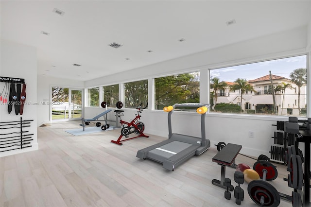 workout room featuring plenty of natural light and light wood-type flooring