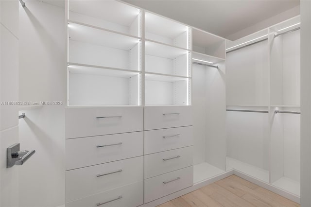 spacious closet featuring light wood-type flooring