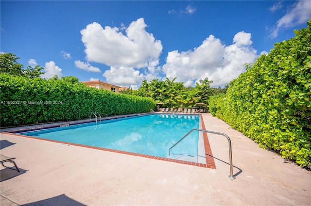 view of swimming pool with a patio area