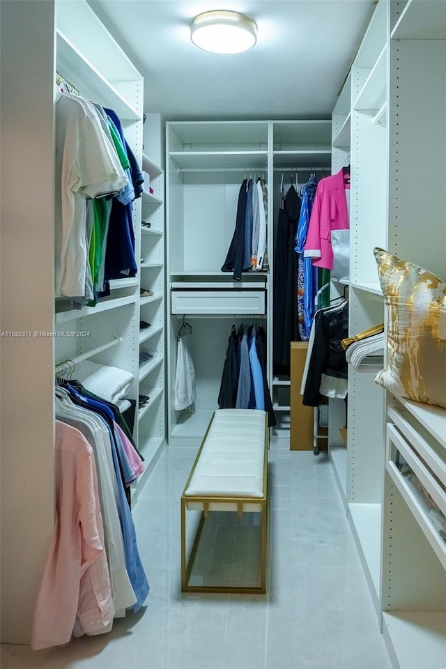 view of spacious closet