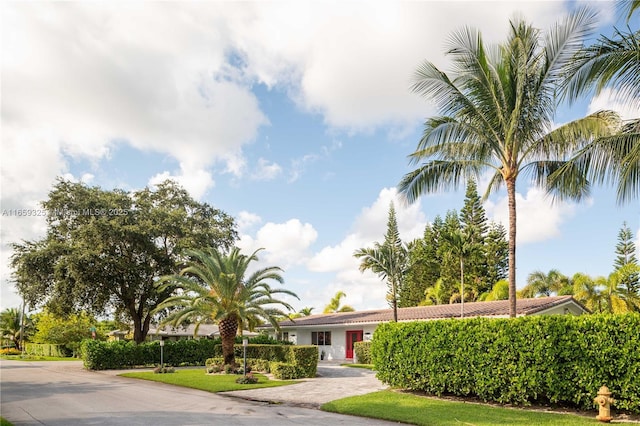 view of property hidden behind natural elements with driveway