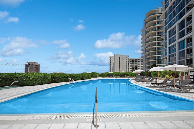 view of swimming pool