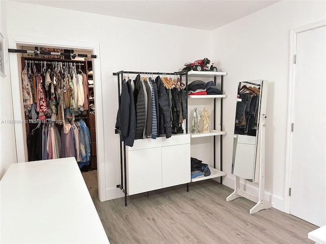 spacious closet with hardwood / wood-style flooring