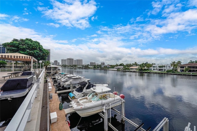 dock area with a water view