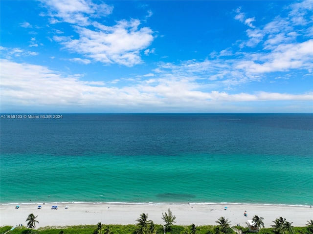 water view with a view of the beach