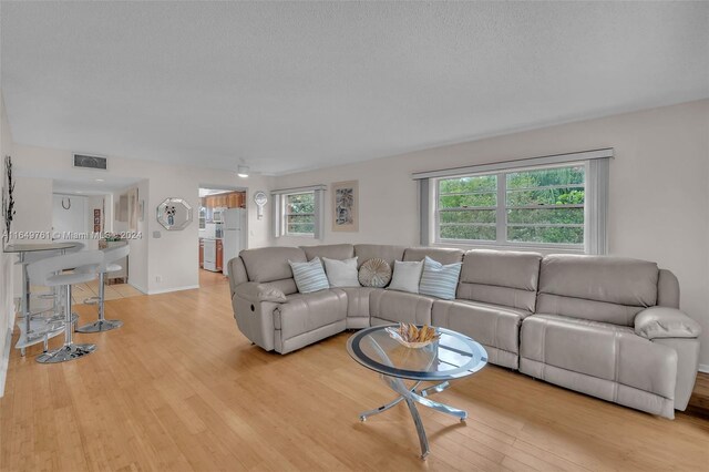 living room with light hardwood / wood-style floors