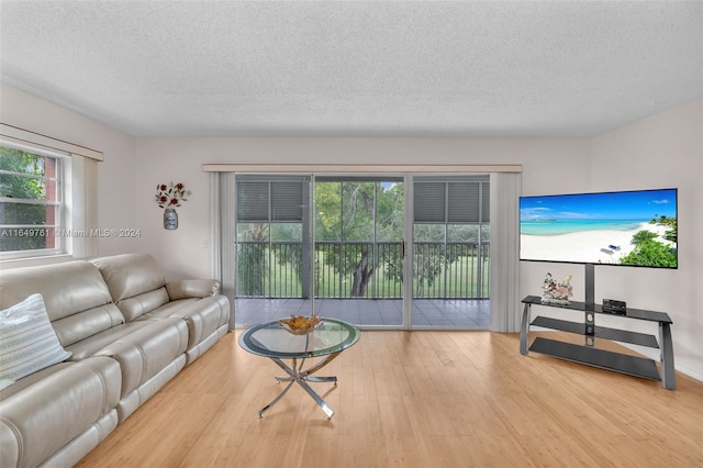 living room featuring a healthy amount of sunlight, a textured ceiling, and light hardwood / wood-style flooring