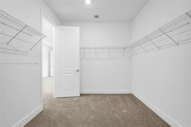 12267 SW 43rd Ct, Davie, FL 33330 - spacious closet featuring carpet