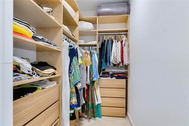 walk in closet with light colored carpet