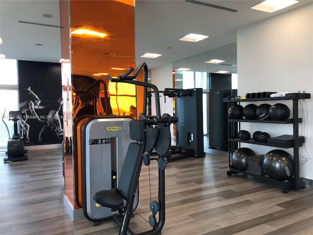 exercise room featuring hardwood / wood-style floors