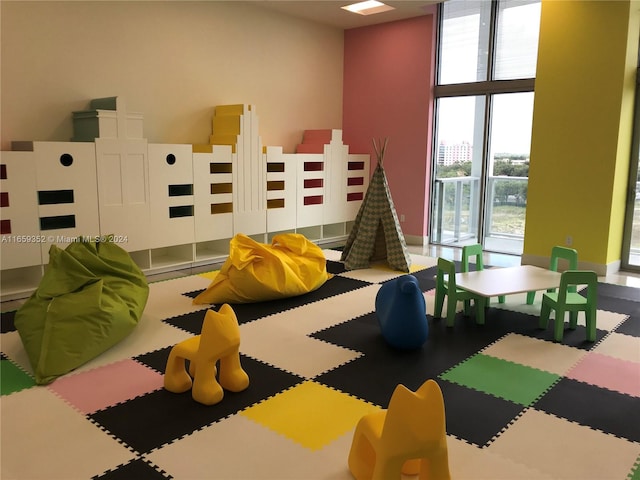 playroom featuring a healthy amount of sunlight