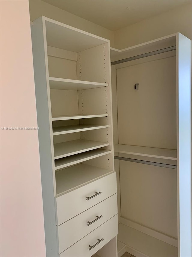 view of spacious closet