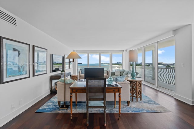 living room featuring dark wood-type flooring and expansive windows