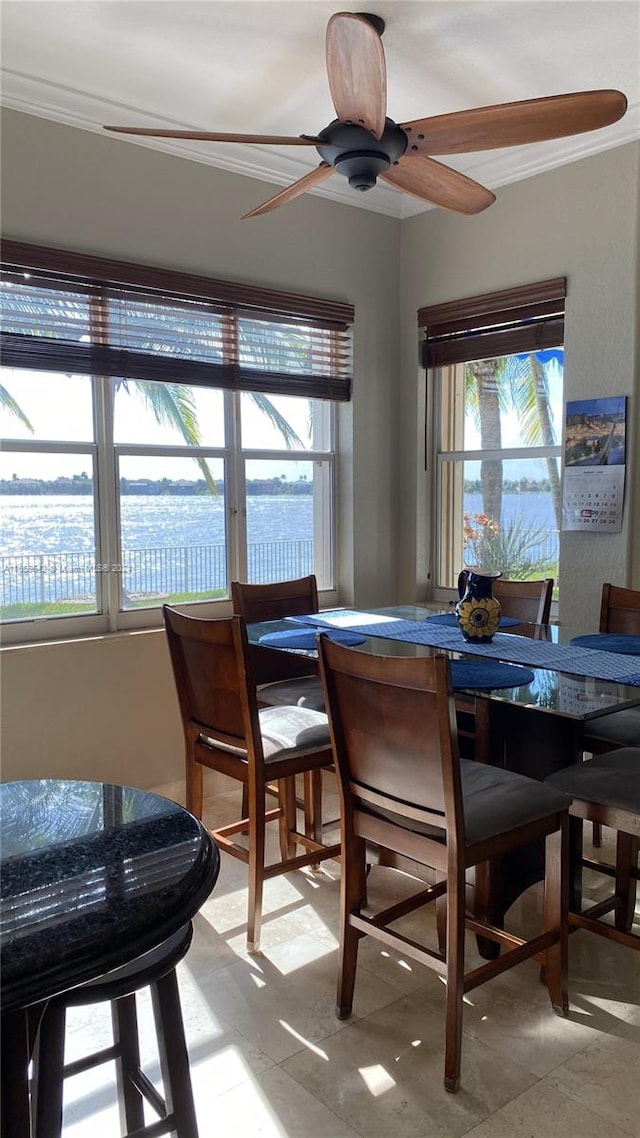 dining room featuring plenty of natural light, ceiling fan, and ornamental molding