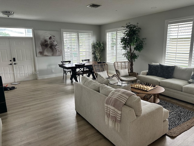 living room featuring light wood-type flooring and a wealth of natural light