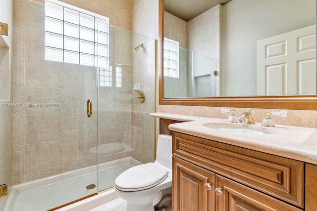 bathroom featuring plenty of natural light, toilet, vanity, and walk in shower