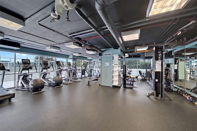 exercise room with a healthy amount of sunlight