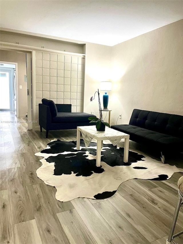 living room with light wood-type flooring