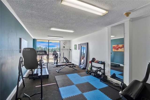 2500 NE 135th St Unit C301, North Miami, FL 33181 - exercise room featuring ornamental molding, a textured ceiling, baseboards, and floor to ceiling windows