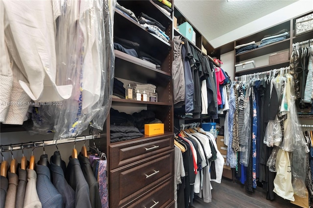 walk in closet with dark wood finished floors