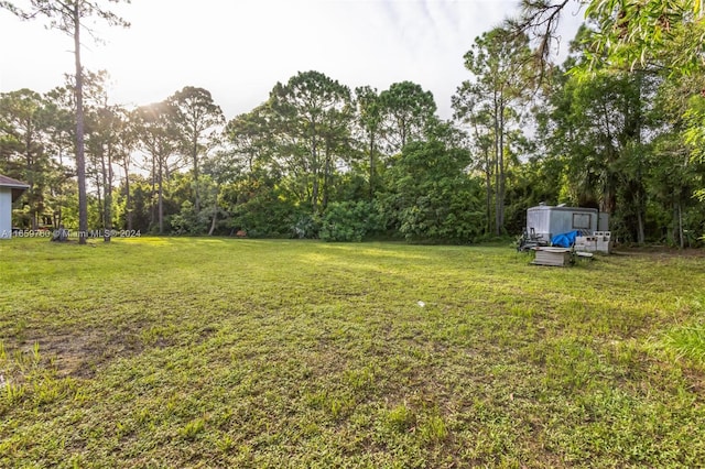 view of yard with a shed