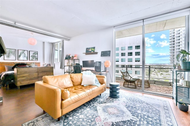 living room with expansive windows and hardwood / wood-style floors