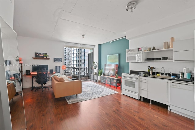 living room featuring sink, dark hardwood / wood-style floors, and expansive windows