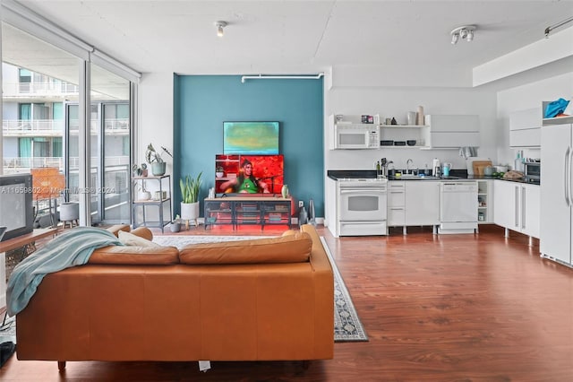 living room with dark hardwood / wood-style flooring, floor to ceiling windows, and sink