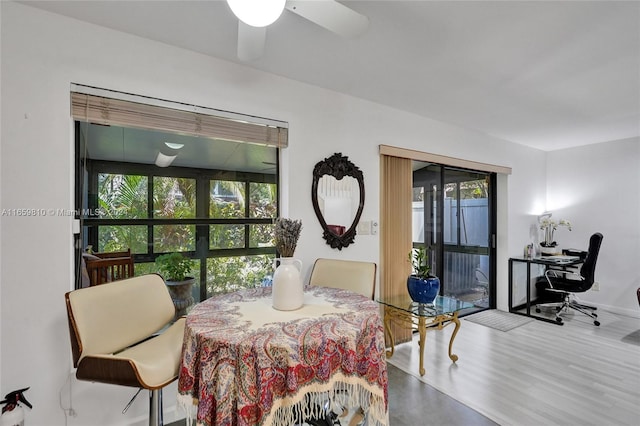 dining space featuring plenty of natural light, hardwood / wood-style floors, and ceiling fan