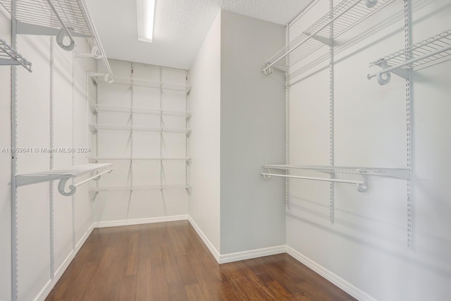 spacious closet with dark wood-type flooring