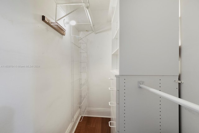 spacious closet featuring wood-type flooring