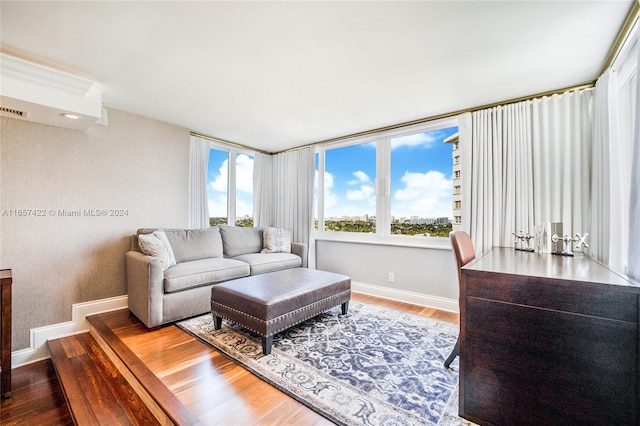 living room featuring hardwood / wood-style floors