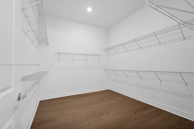 walk in closet with hardwood / wood-style flooring