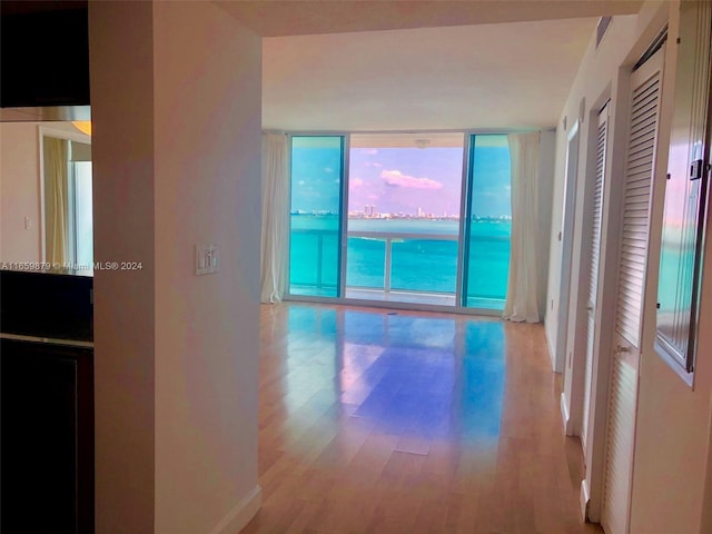 interior space featuring plenty of natural light, light hardwood / wood-style flooring, and expansive windows