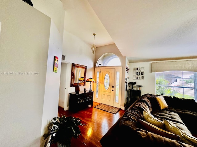 living room with lofted ceiling and hardwood / wood-style floors