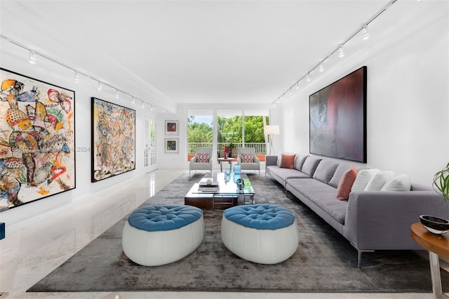 living room with rail lighting and crown molding