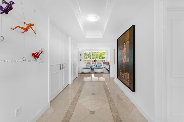 hall featuring crown molding and a raised ceiling